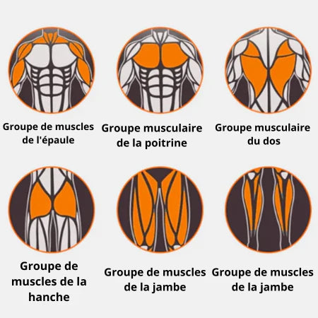 Roue Abdominale à Rebond Automatique